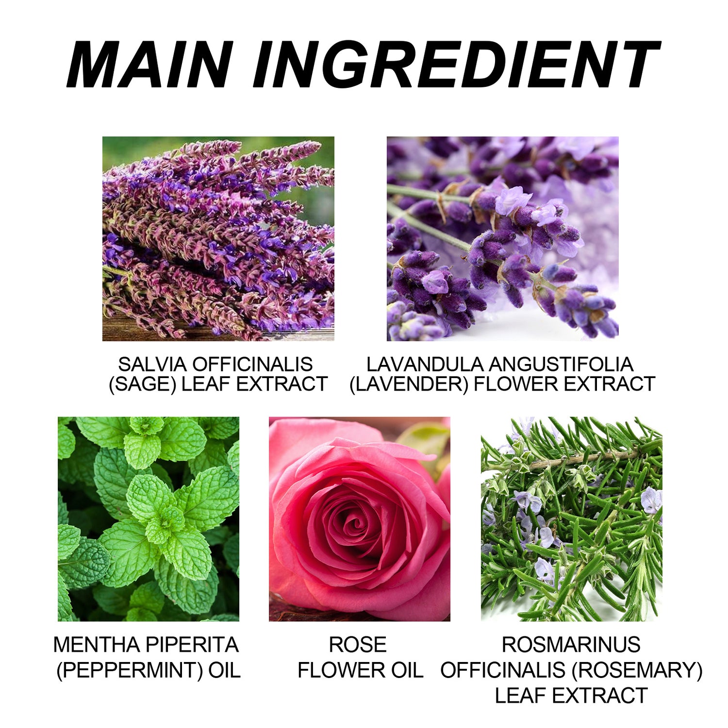 List of main ingredients with corresponding images and names on a white background